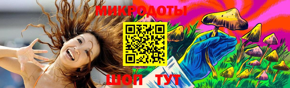 Псилоцибиновые грибы Psilocybine cubensis  Вход с VPN  Галлюциногенные грибы прущие грибы  Баксан 
